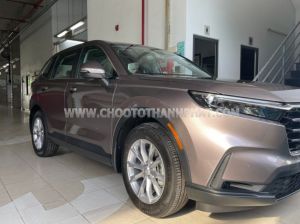 Xe Honda CRV L 2025