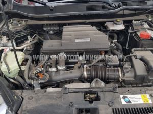 Xe Honda CRV L 2022