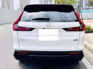 Xe Honda CRV L AWD 2023