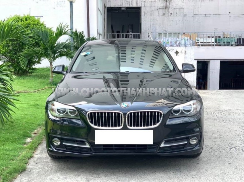 BMW 5 Series 520i 2015