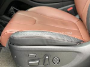 Xe Hyundai SantaFe Cao cấp 2.2L HTRAC 2021
