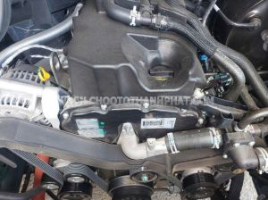 Xe Ford Transit Premium 2025