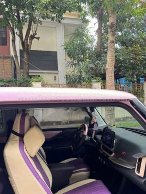 Xe VinFast VF3 Plus 2024