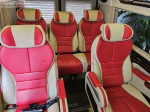 Xe Ford Transit Limousine 2017